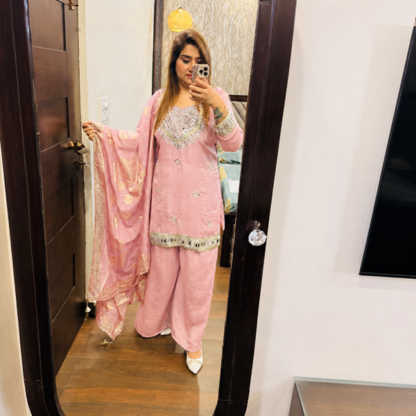 Mirror Work With Banarsi Dupatta - XL, pink