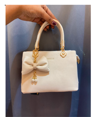classy bow bag